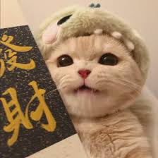 Avatar of Maria Santos